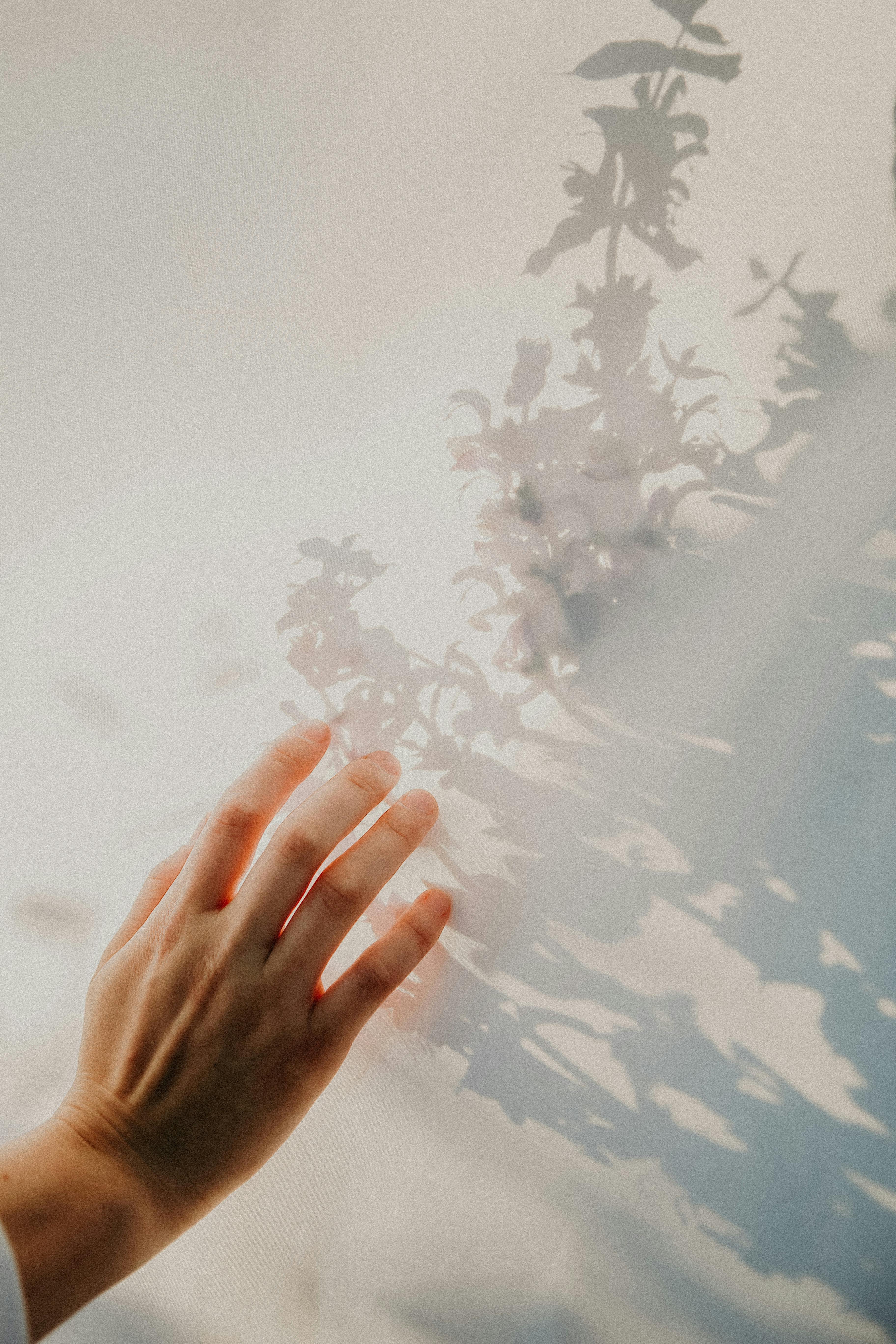 A softly lit hand reaches out to touch a delicate shadow on a white wall in Eskişehir, Turkey.
