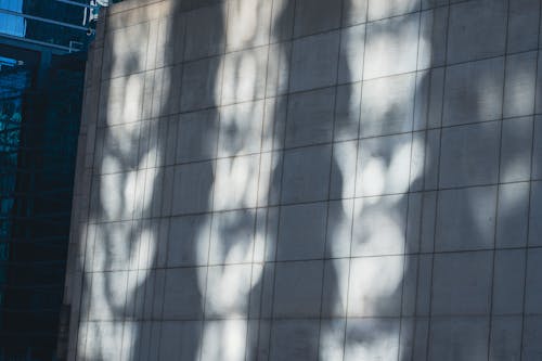 Ingyenes stockfotó árnyék, betonfal, fehér fal témában
