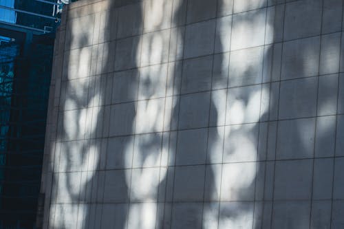 Shadow on White Wall