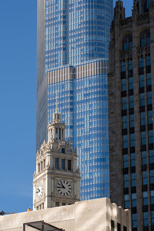 Buildings in a City