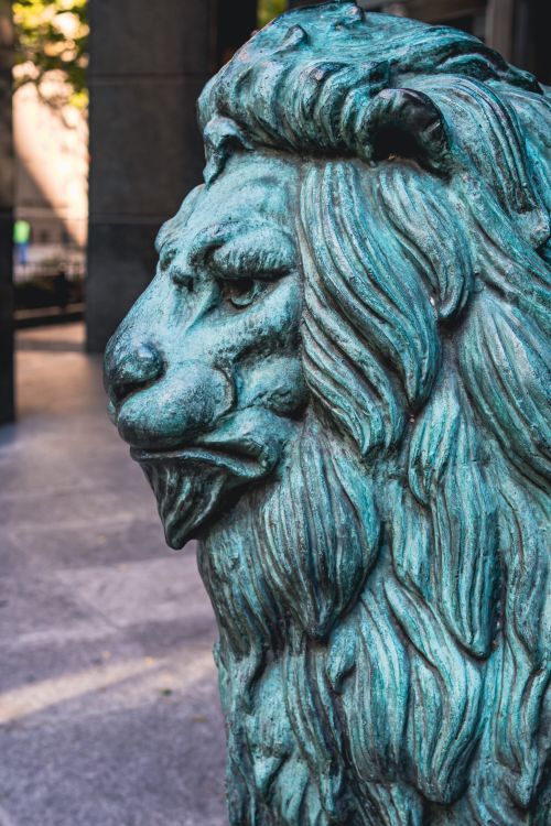 Free Detailed view of a bronze lion sculpture with textured mane in urban setting. Stock Photo