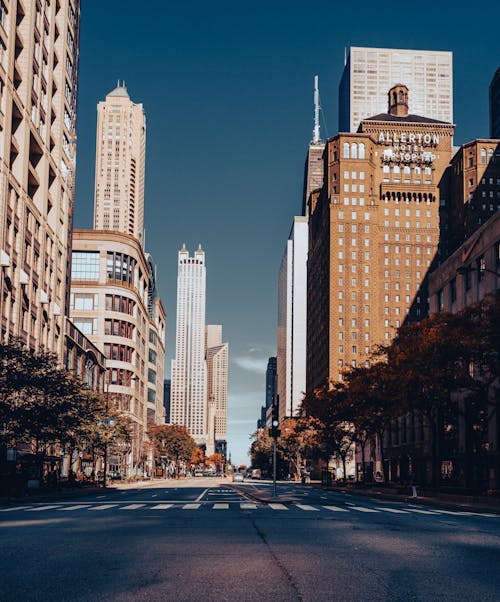 An Empty Road Between City Buildingsq