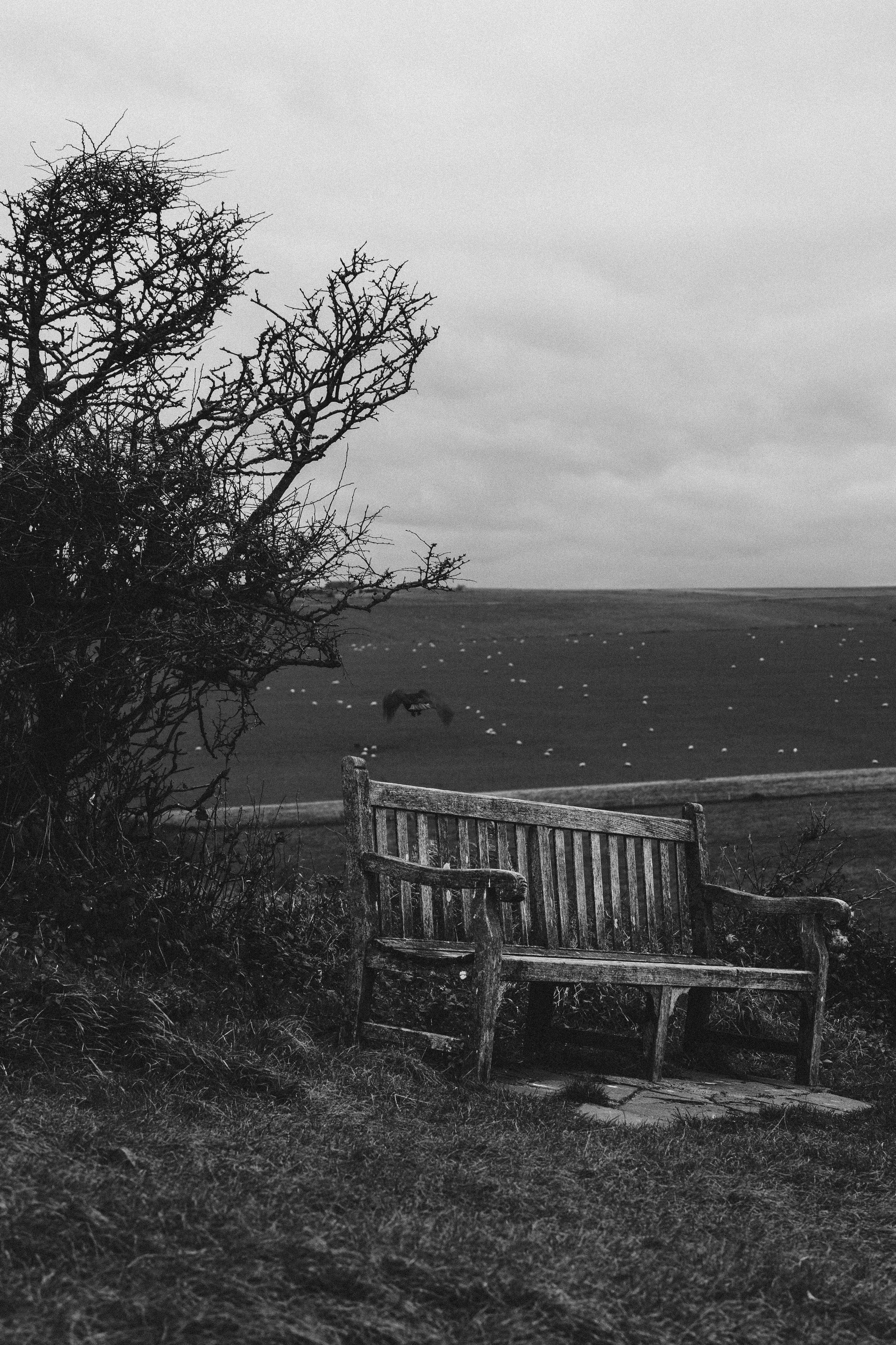 A tranquil grayscale scene featuring a lone bench overlooking the countryside in England.