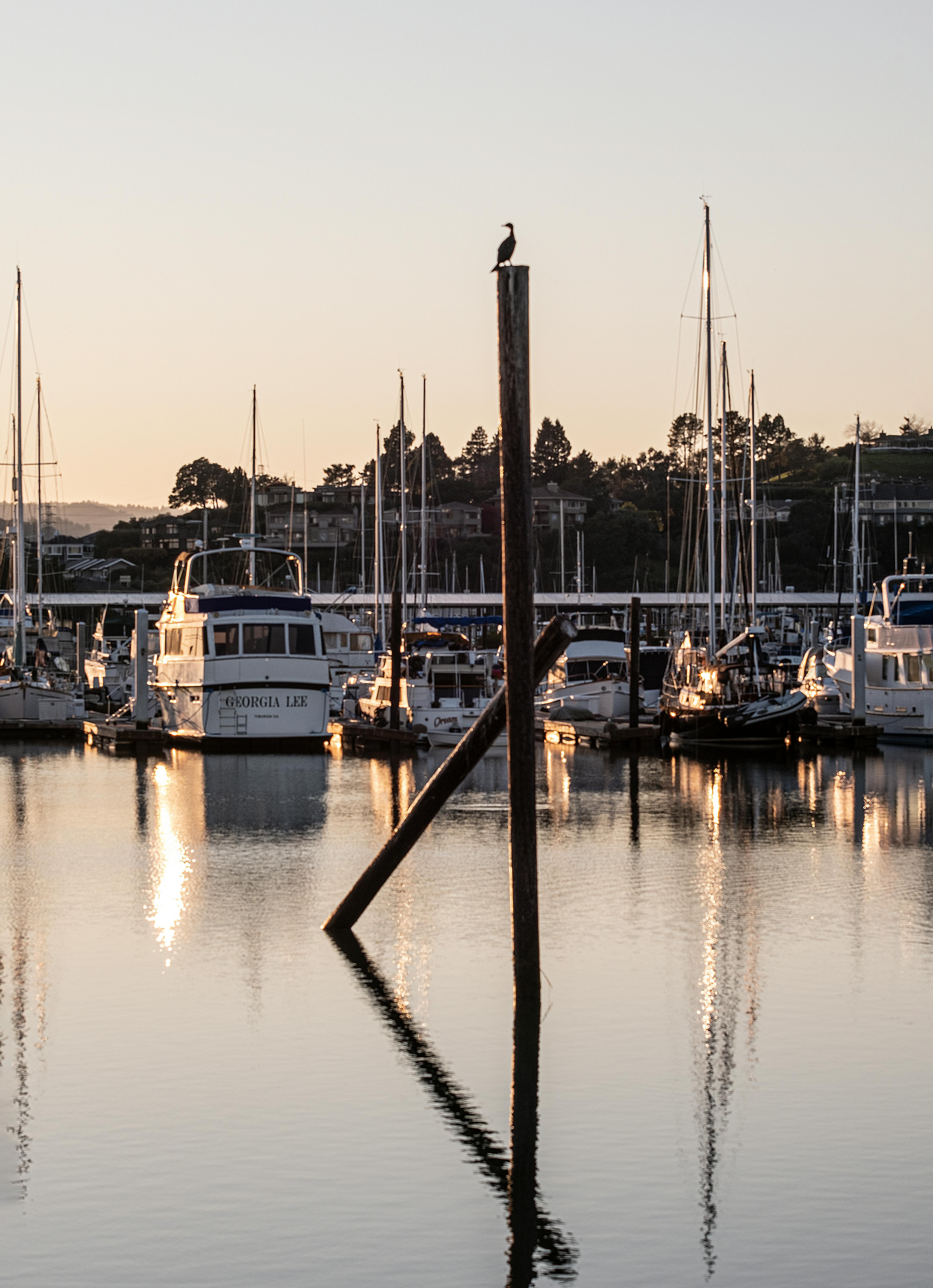 덴마크 코펜하겐의 자전거 고속도로