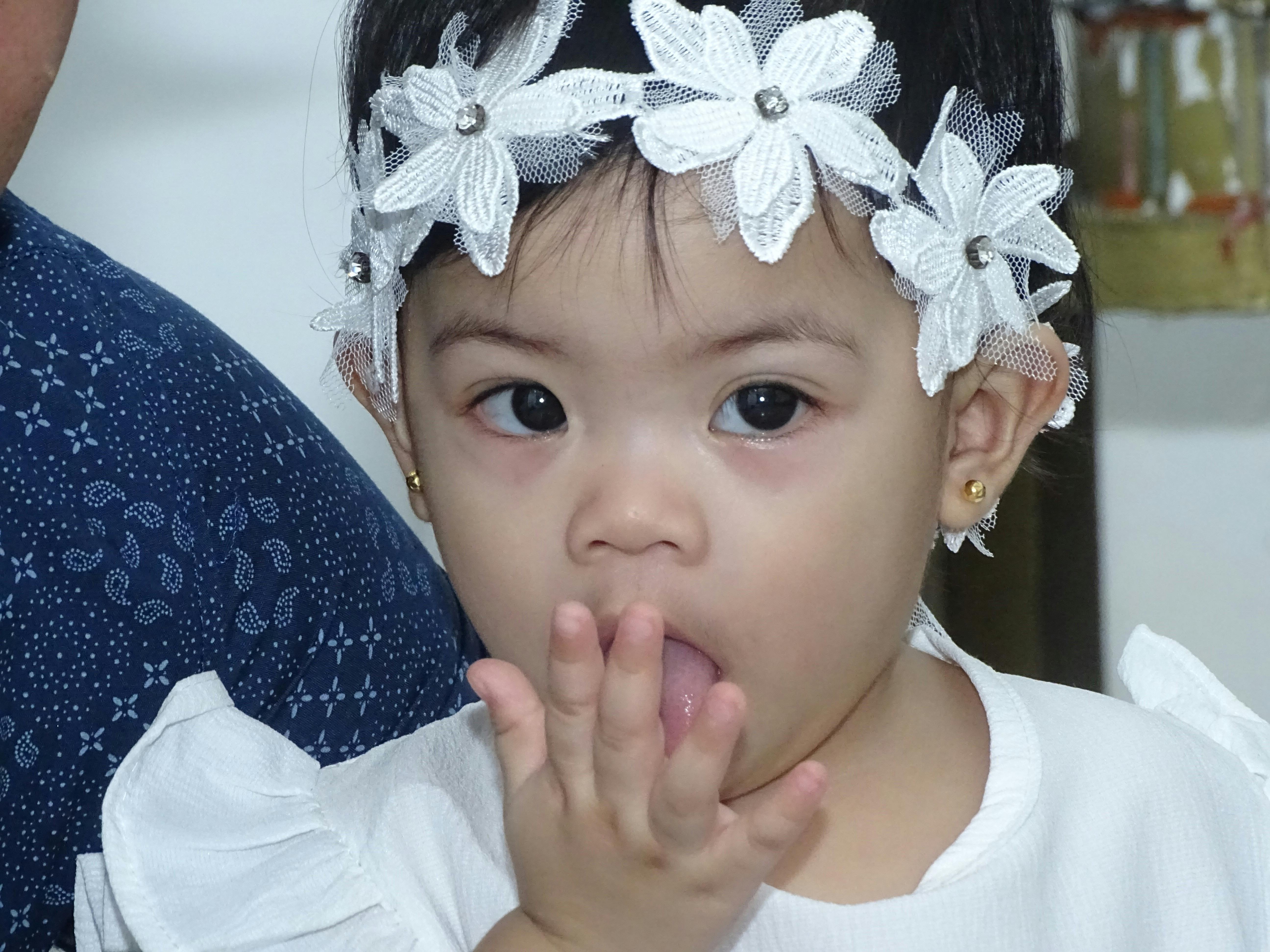 네덜란드 암스테르담의 자전거 도로