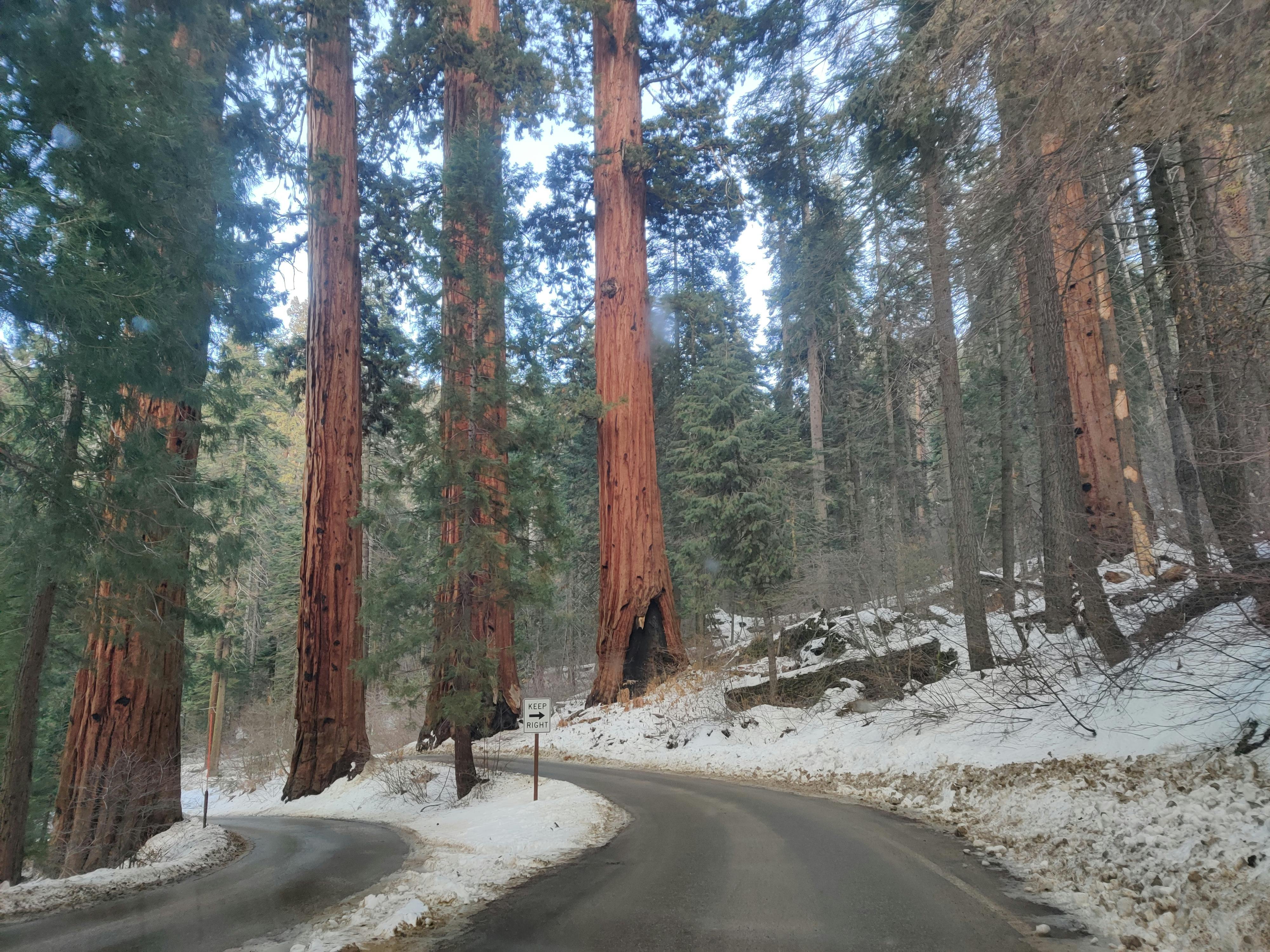 대한민국 한강 자전거 도로