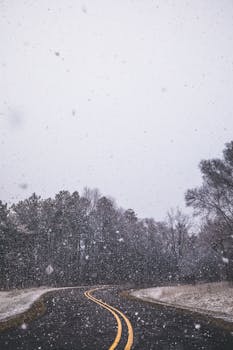 一条白雪覆盖的蜿蜒道路，穿过光秃秃的树木，构成一幅宁静的冬日景象