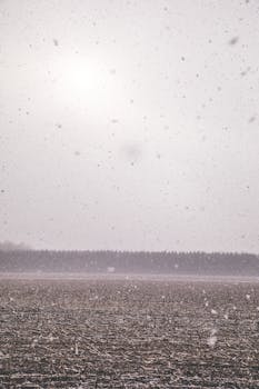 宁静的冬日雪原上，远方的树线在白雪皑皑的天空下若隐若现
