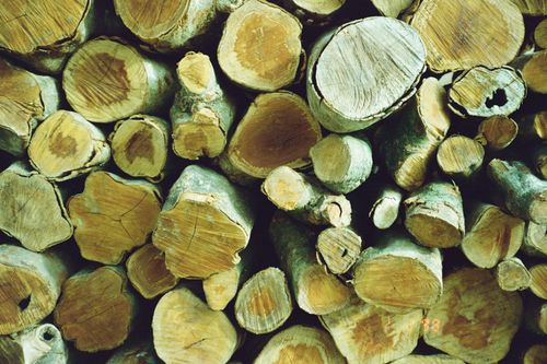 Free stock photo of firewoods, logs, negatives Stock Photo