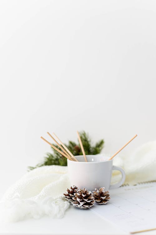 Photo of Pine Cones Near a White Cup
