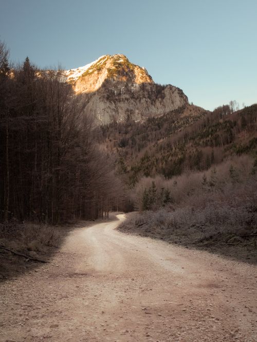 Free Tranquil mountain path with rocky peaks and trees in Ebensee, Austria. Stock Photo