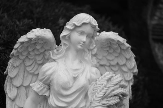 A detailed black and white photo of an elegant angel statue with wings, perfect for artistic and spiritual themes.