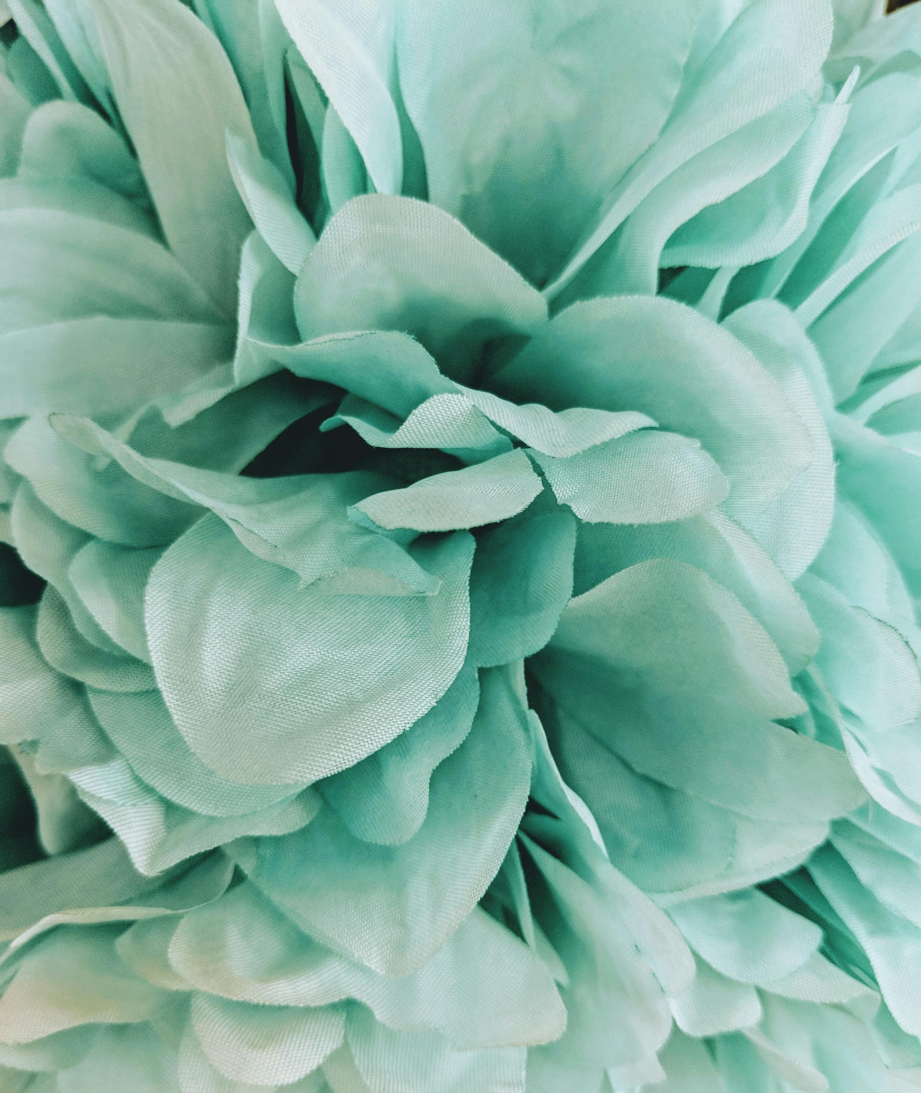 Free stock photo of aqua petals, artificial flowers, blue flowers