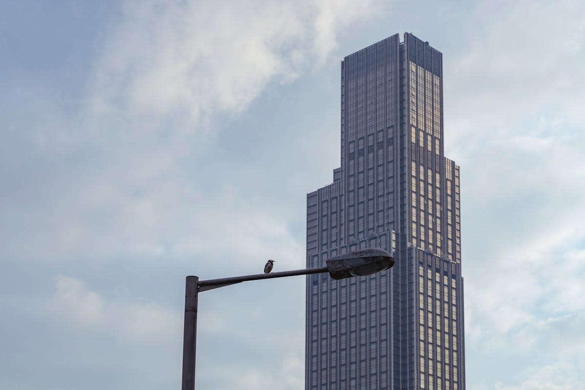 Gray Painted Skyscraper