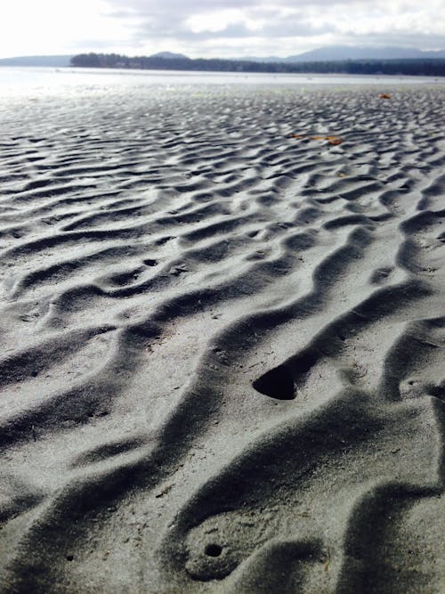 天性, 水波, 沙海滩 的 免费素材图片