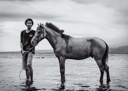 Δωρεάν στοκ φωτογραφιών με gili νησί, άλογο, Άνθρωποι