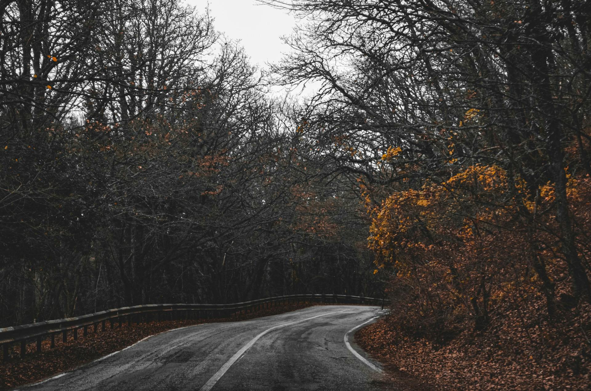 Serene winding road in Sevastopol surrounded by autumn forest. Perfect for travel and nature themes.