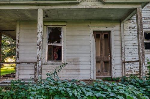 White Wooden Door With Green Plants