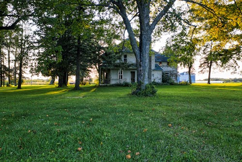 An Old House Near Green Trees on Green Field