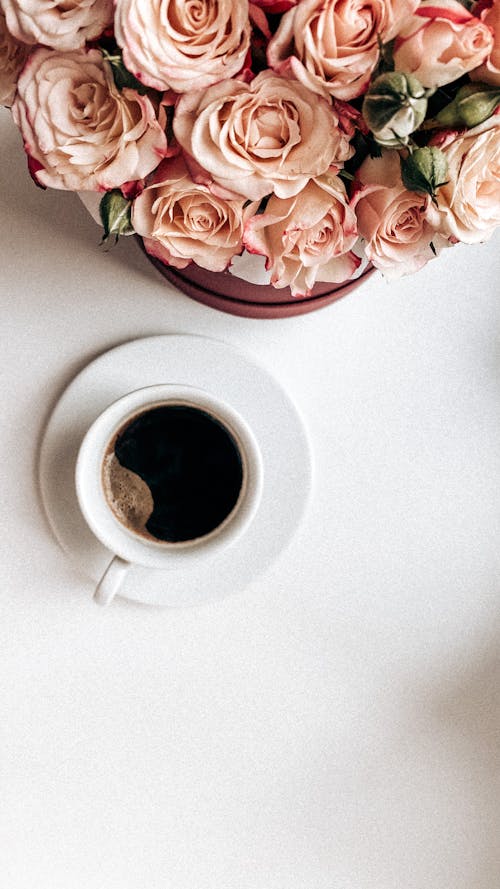 Foto profissional grátis de bebida quente, café preto, flor