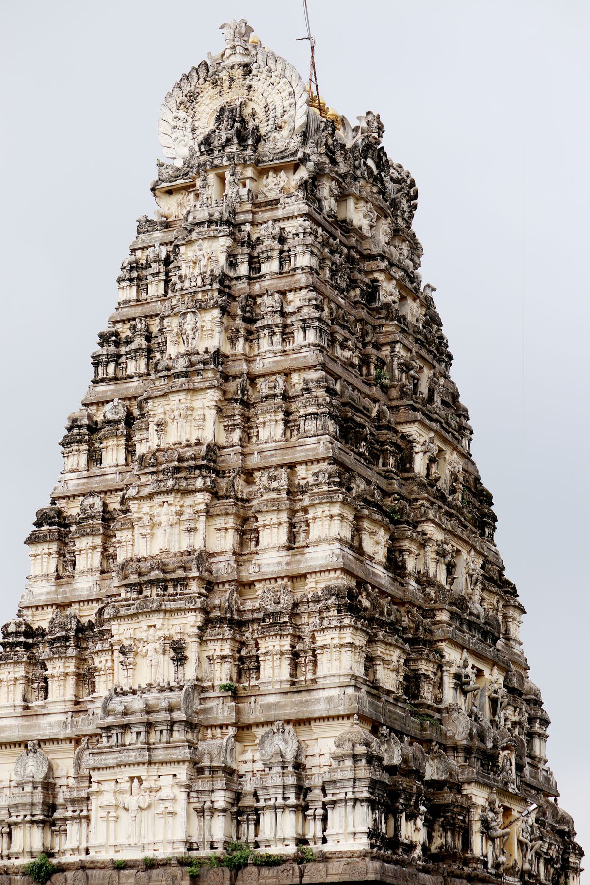 Kanchipuram Ekambareswarar Temple Yatra — photo 2