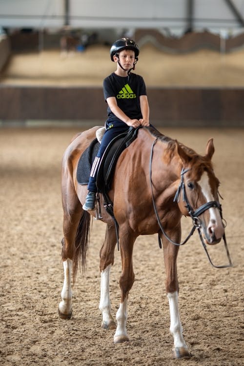 Free Boy in Black Shirt Riding a Horse Stock Photo