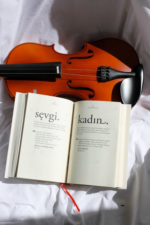 バイオリン, 垂直ショット, 本の無料の写真素材