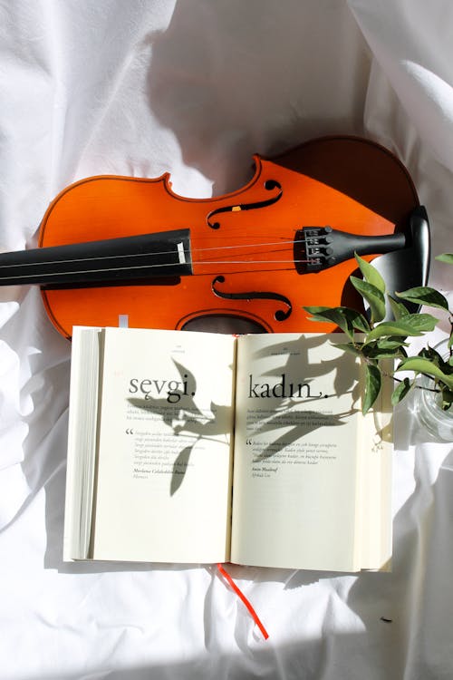 Close Up Photo of Violin Beside a Book