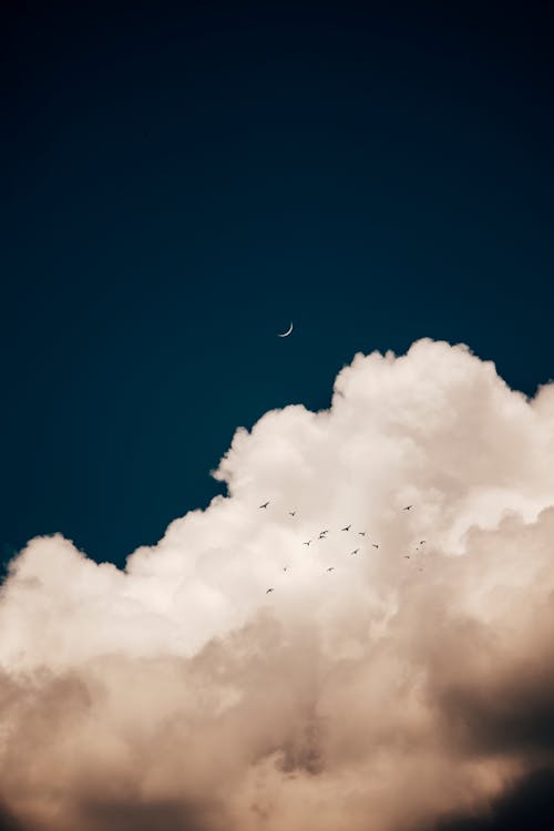 Foto stok gratis awan putih, bidikan sudut rendah, bulan