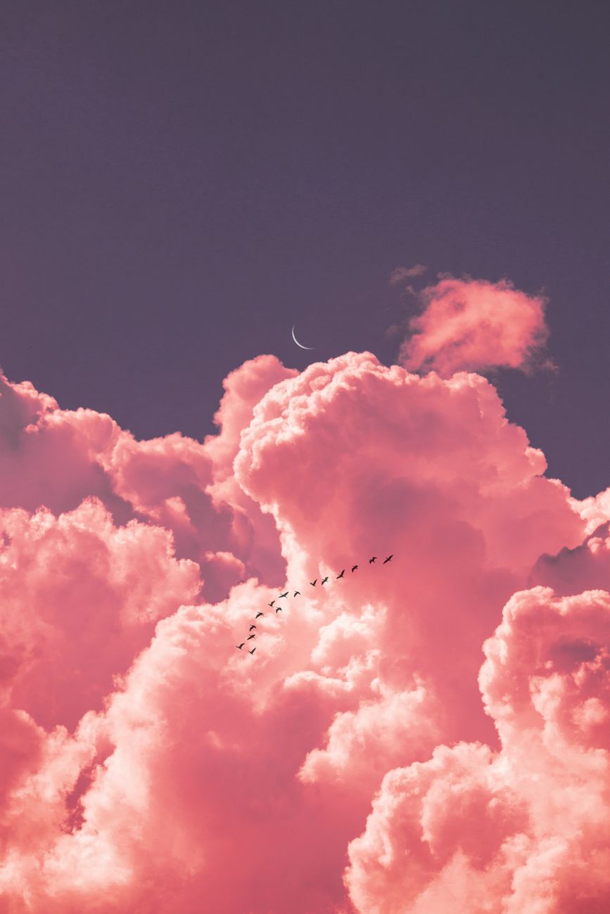 A stunningly vivid pink cloudscape with a crescent moon and birds flying at twilight.