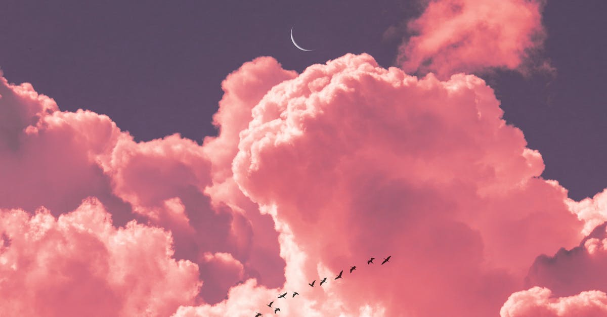 Pink Clouds and Blue Sky · Free Stock Photo