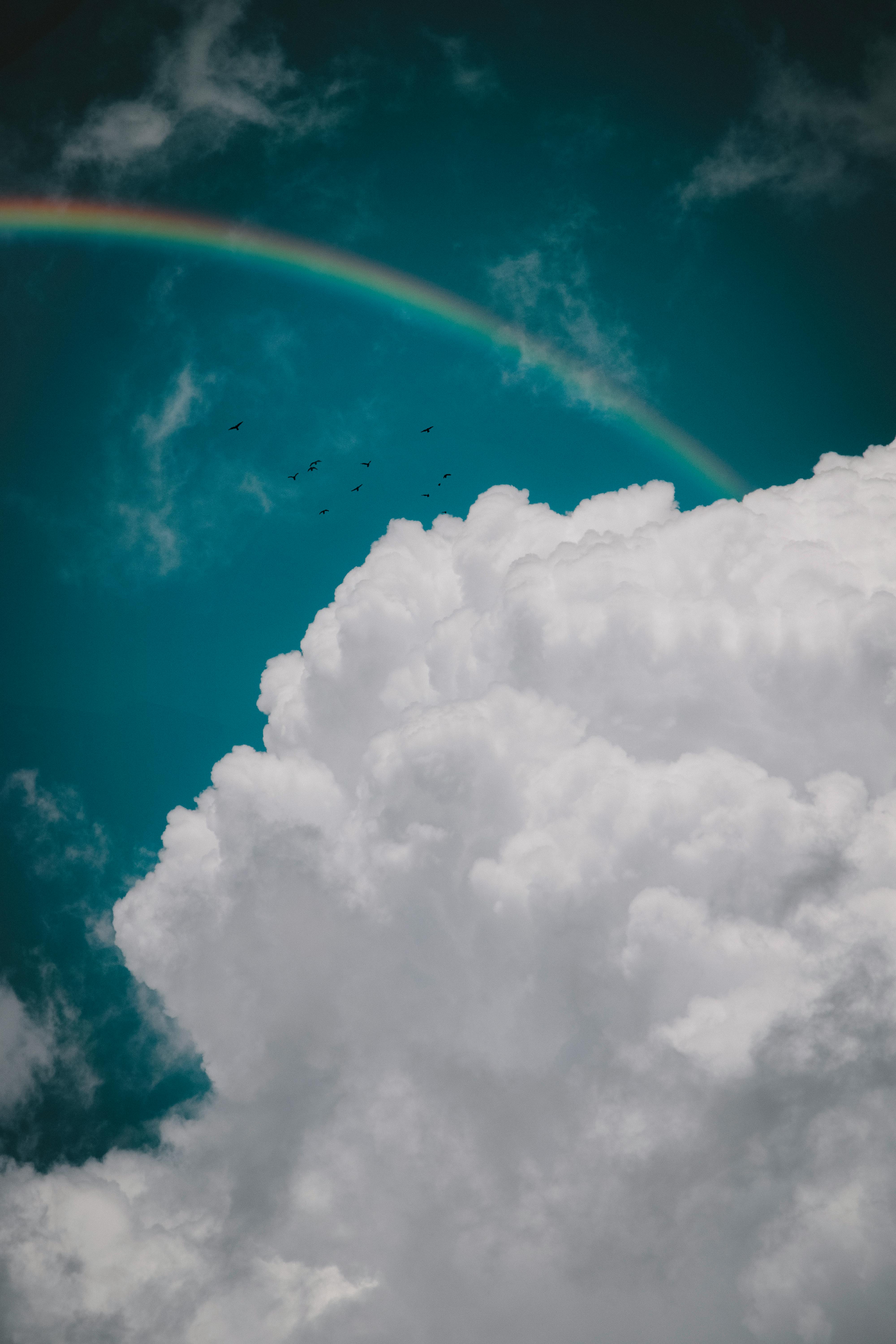 A Rainbow in the Sky · Free Stock Photo