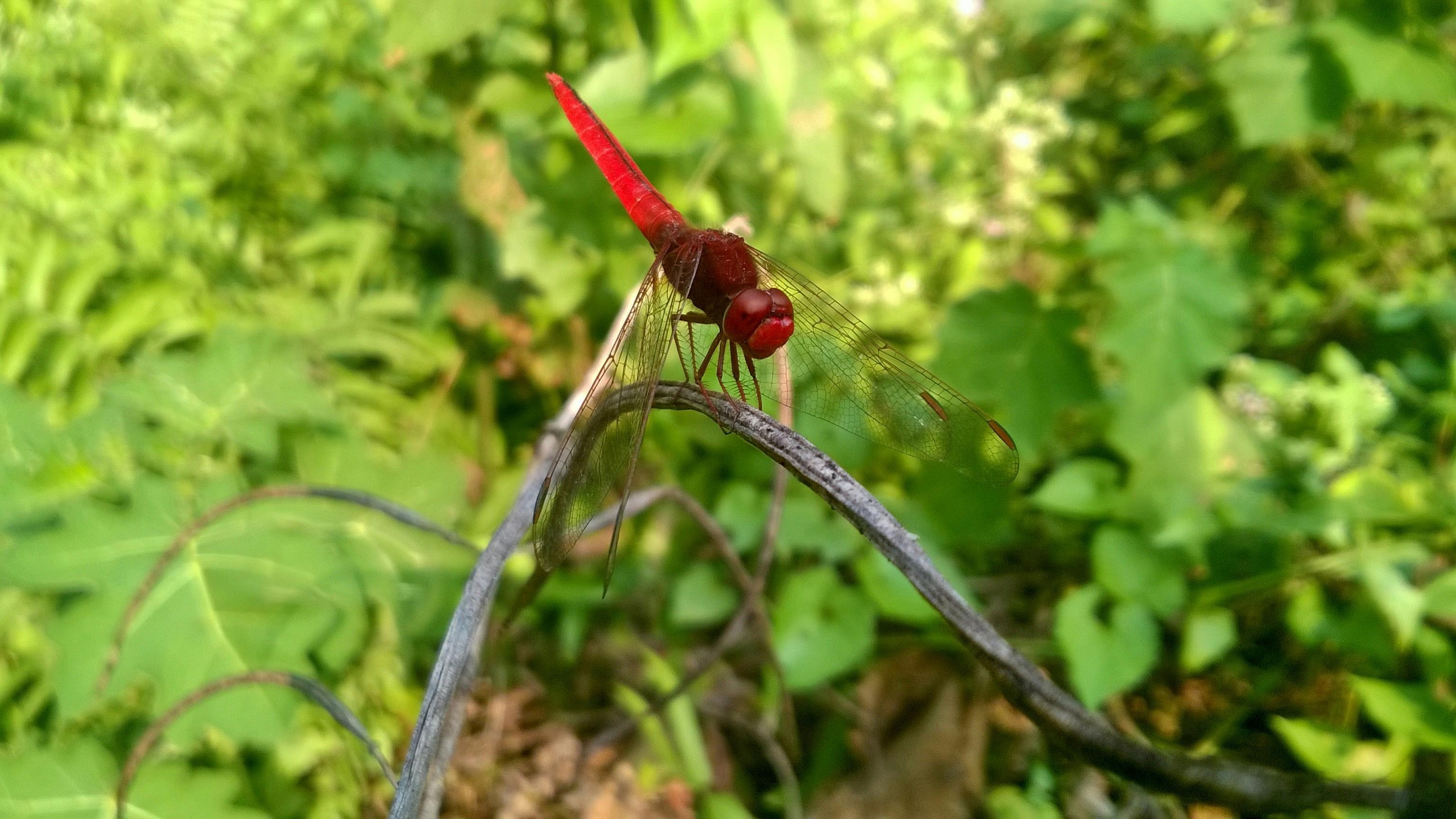자동차보험 비교견적을 위한 이미지 (Pexels)