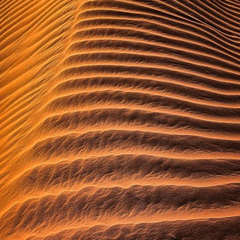 阳光明媚的沙丘在宁静的沙漠景观中形成涟漪图案