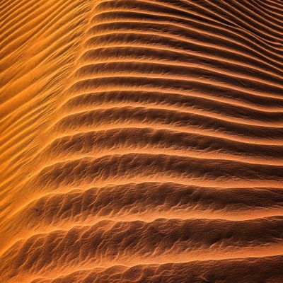 Cover art for Terms of Service — photo by Walid Ahmad on Pexels