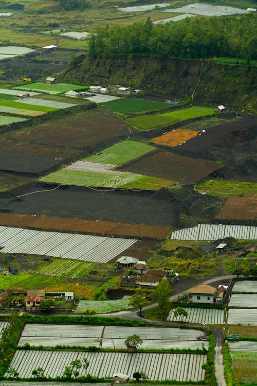 ドローン撮影, ファーム, 垂直ショットの無料の写真素材