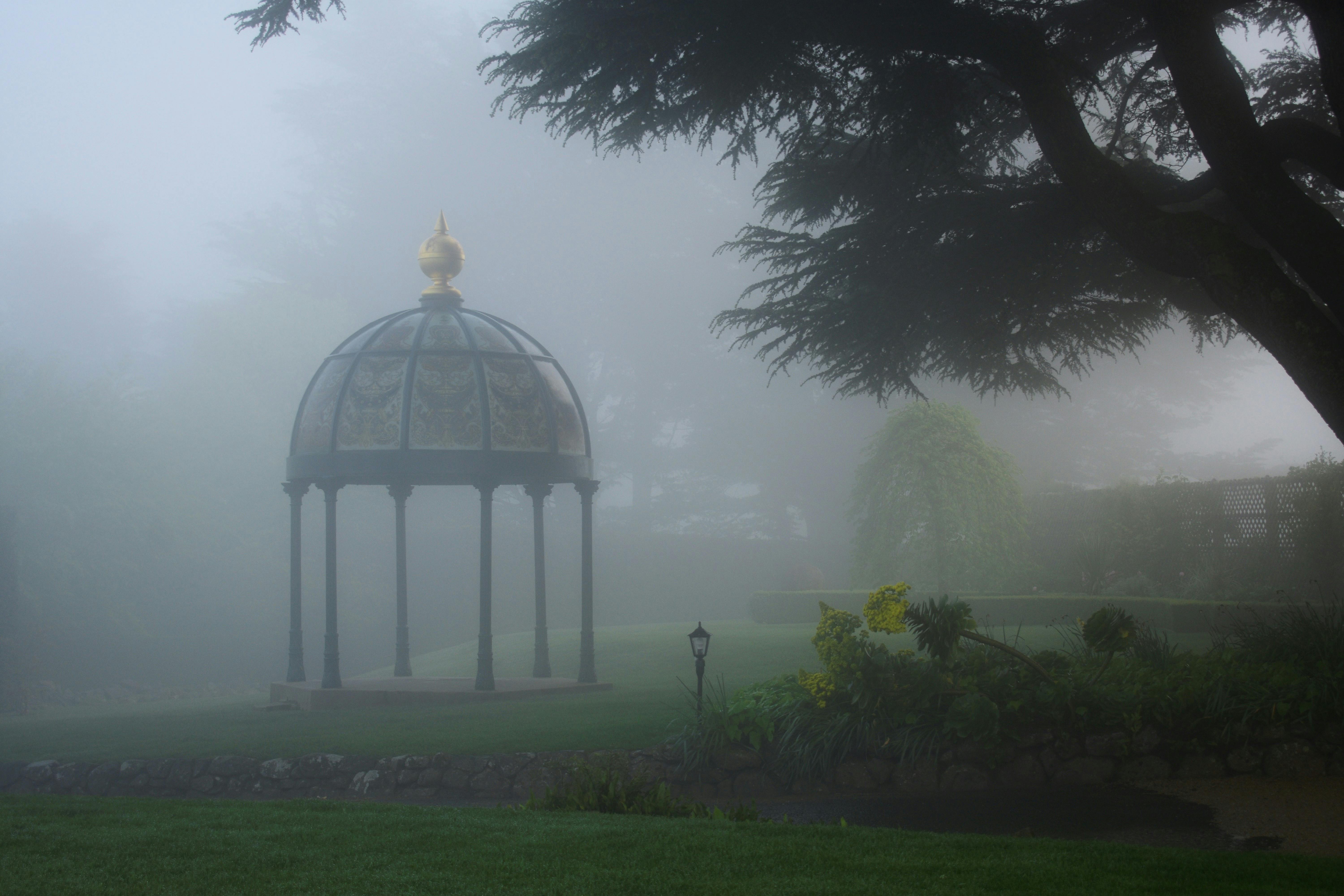 Eine Person geht achtsam auf einem Waldweg und genießt die Natur