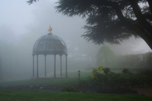 Free stock photo of early morning, garden, gazebo