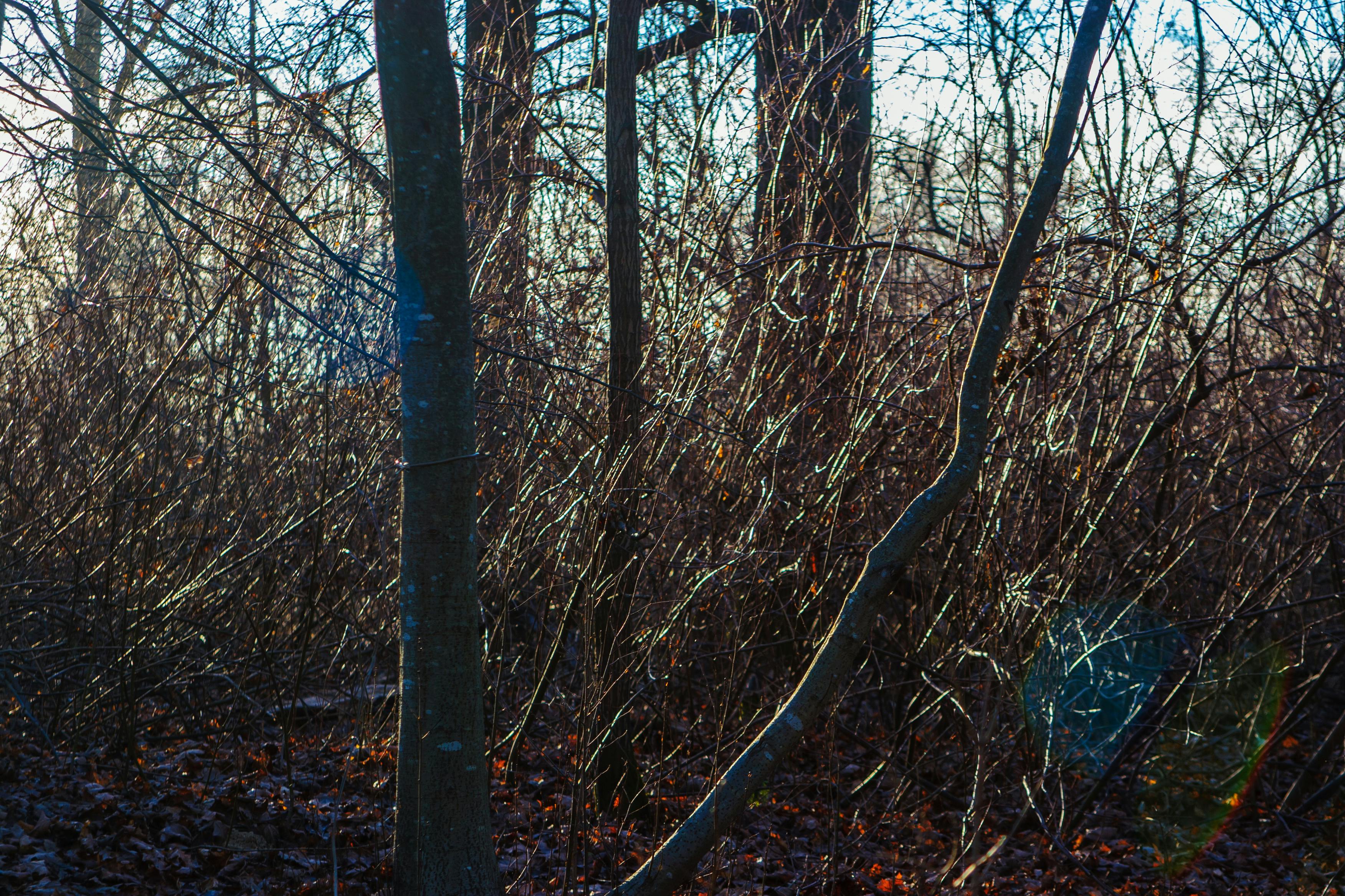 절세 효과 아이콘