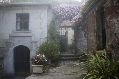 Fotobanka s bezplatnými fotkami na tému architektúra, brána, historická budova