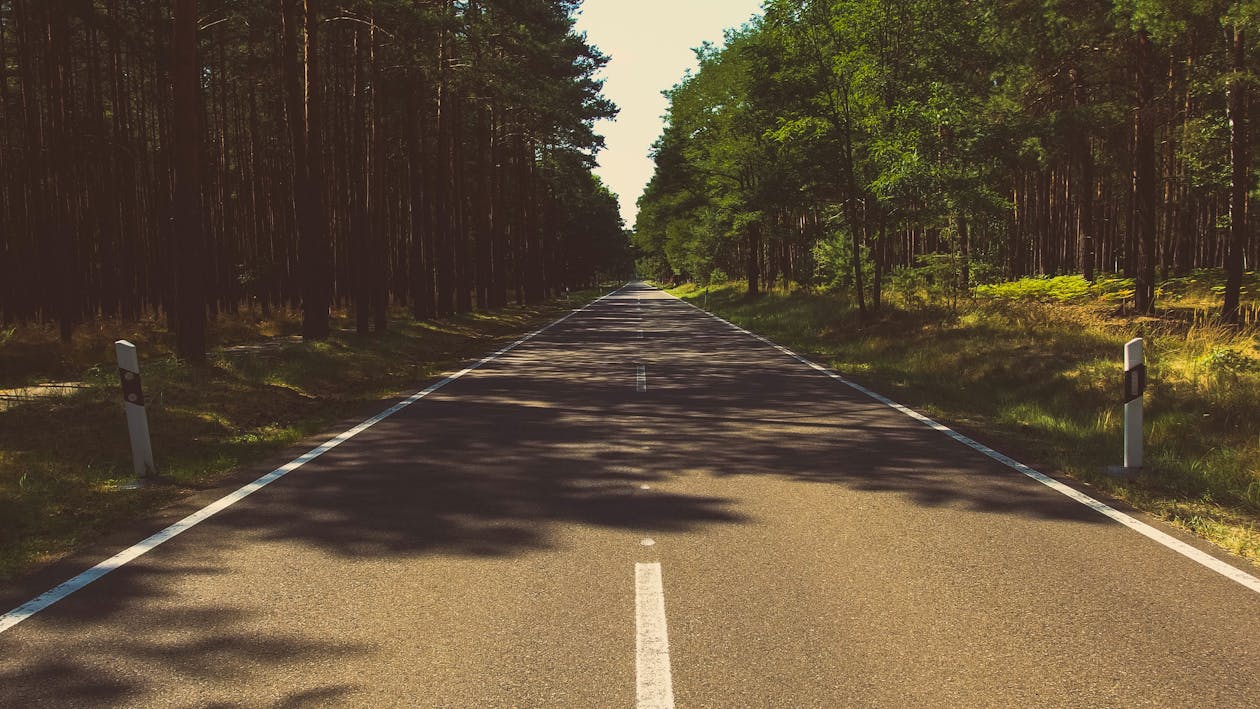бесплатная Фотография серой цементной дороги посреди леса в дневное время Стоковое фото