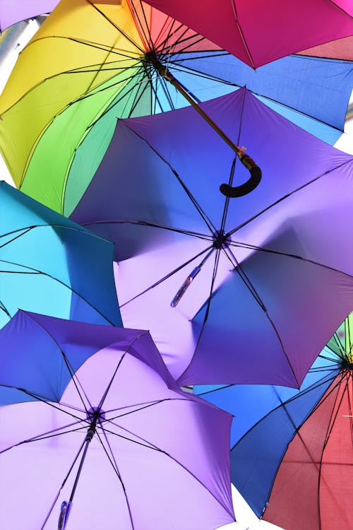 Ingyenes stockfotó design, esernyők, eső témában