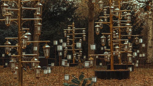 Darmowe zdjęcie z galerii z drzewa, lampy, metalowe słupki