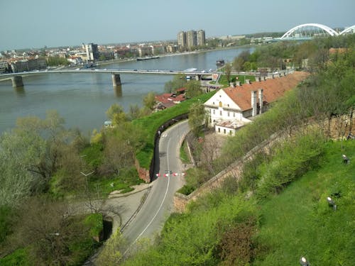 Free stock photo of bridge, city, serbia