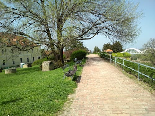 Free stock photo of beautiful, novi sad, petrovaradinska