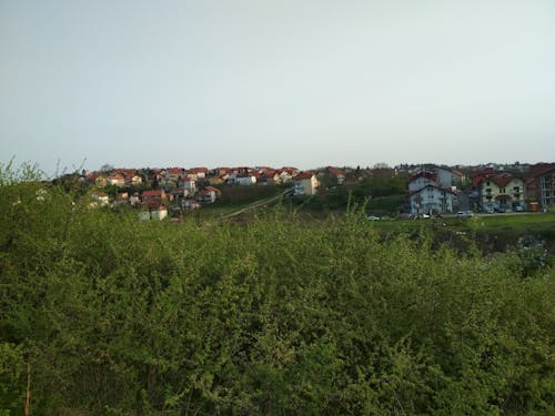 Free stock photo of houses, serbia, trees