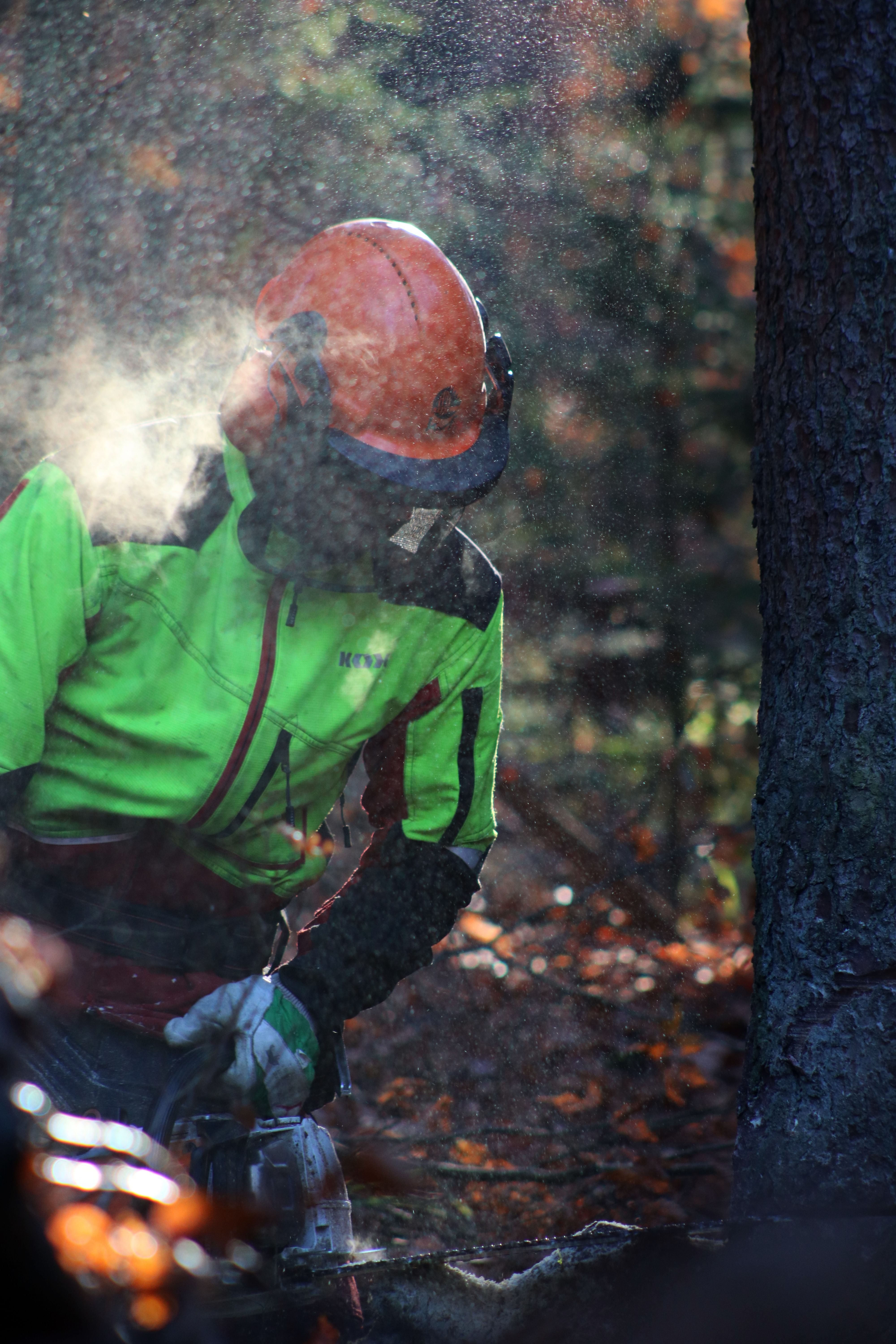 Free A Man in Green Jacket Wearing Orange Helmet Stock Photo