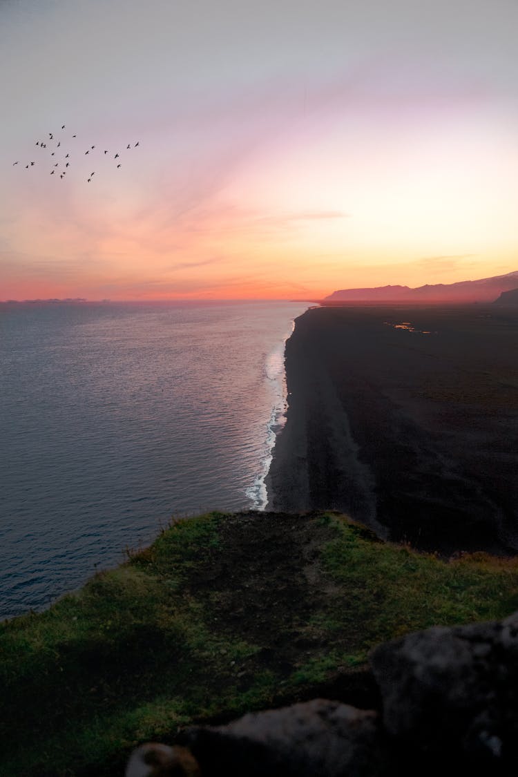 Flock Of Birds Flying Over Sea At Sunset