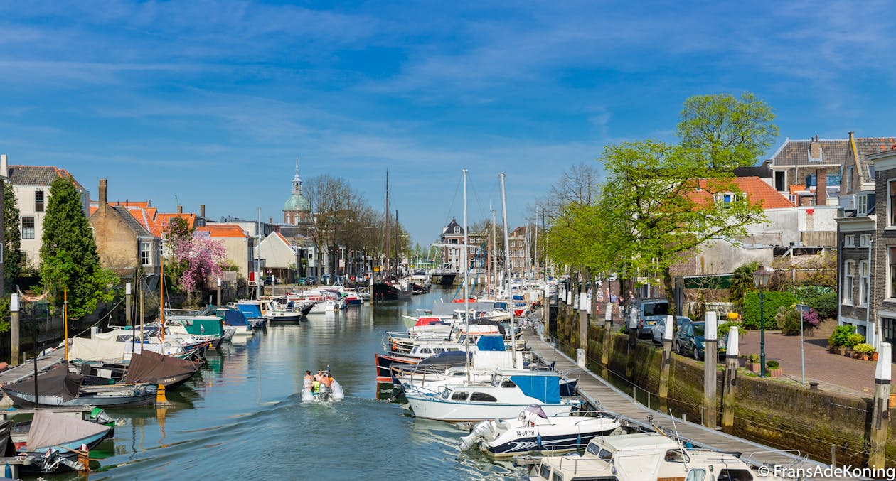 Free stock photo of marina