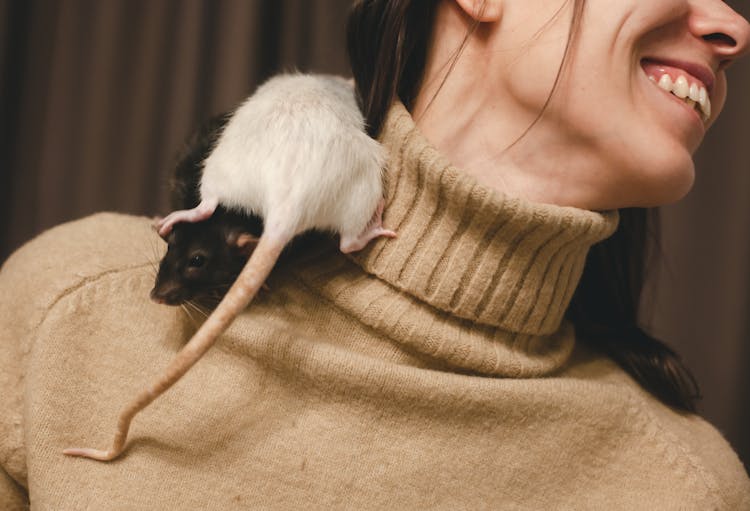 Two Rats On A Woman's Shoulder